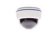 WT-9030XN 1/3'' Sony Ccd 30 Led Dome 4-9 mm Sesl